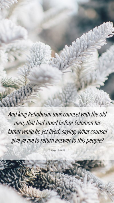 Picture 06 - 1 Kings 12:6 ASV Mobile Phone Wallpaper - And king Rehoboam took counsel with the old men, - Mobile Bible Verse Wallpaper