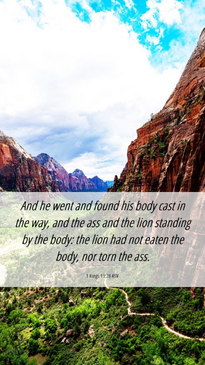 Picture 06 - 1 Kings 13:28 ASV Mobile Phone Wallpaper - And he went and found his body cast in the way, - Mobile Bible Verse Wallpaper