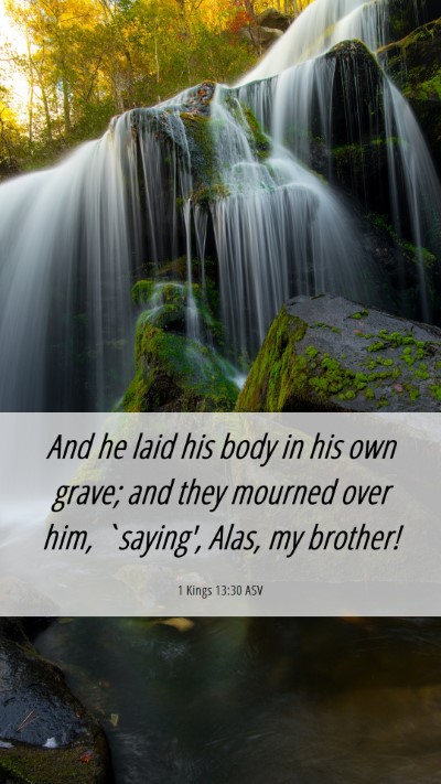 Picture 06 - 1 Kings 13:30 ASV Mobile Phone Wallpaper - And he laid his body in his own grave; and they - Mobile Bible Verse Wallpaper