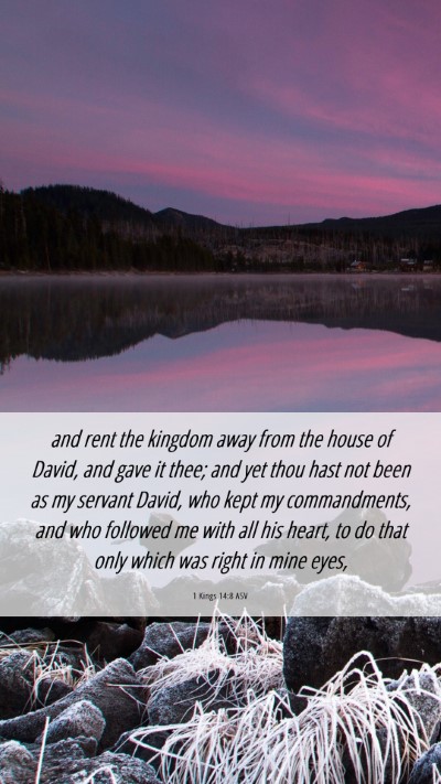 Picture 06 - 1 Kings 14:8 ASV Mobile Phone Wallpaper - and rent the kingdom away from the house of - Mobile Bible Verse Wallpaper