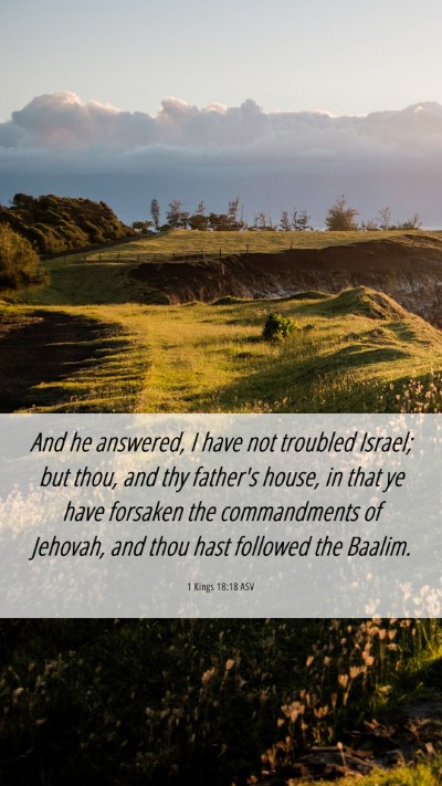 Picture 06 - 1 Kings 18:18 ASV Mobile Phone Wallpaper - And he answered, I have not troubled Israel; but - Mobile Bible Verse Wallpaper