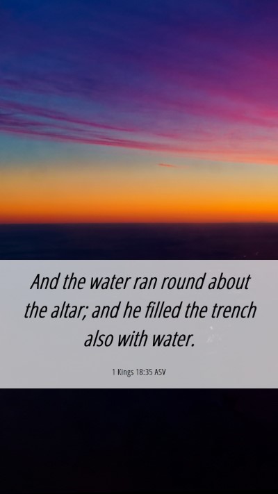 Picture 06 - 1 Kings 18:35 ASV Mobile Phone Wallpaper - And the water ran round about the altar; and he - Mobile Bible Verse Wallpaper
