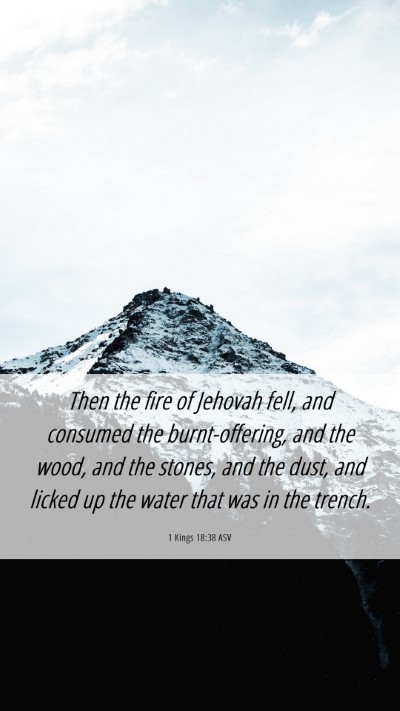 Picture 06 - 1 Kings 18:38 ASV Mobile Phone Wallpaper - Then the fire of Jehovah fell, and consumed the - Mobile Bible Verse Wallpaper