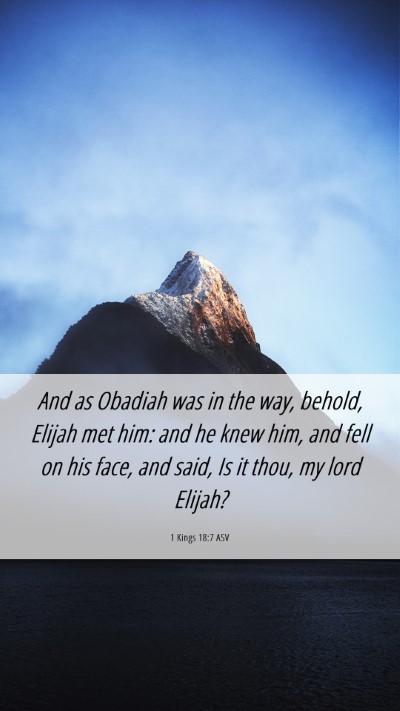 Picture 06 - 1 Kings 18:7 ASV Mobile Phone Wallpaper - And as Obadiah was in the way, behold, Elijah met - Mobile Bible Verse Wallpaper