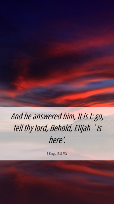 Picture 06 - 1 Kings 18:8 ASV Mobile Phone Wallpaper - And he answered him, It is I: go, tell thy lord, - Mobile Bible Verse Wallpaper