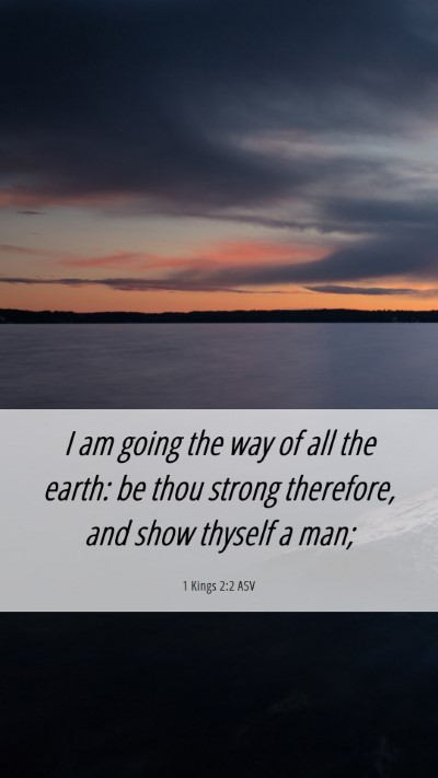 Picture 06 - 1 Kings 2:2 ASV Mobile Phone Wallpaper - I am going the way of all the earth: be thou - Mobile Bible Verse Wallpaper