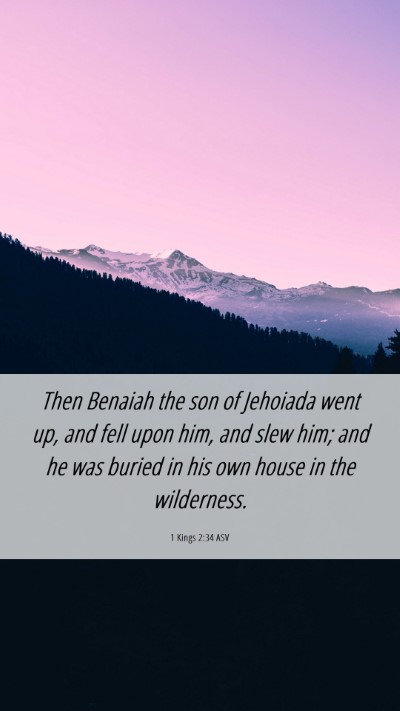 Picture 06 - 1 Kings 2:34 ASV Mobile Phone Wallpaper - Then Benaiah the son of Jehoiada went up, and - Mobile Bible Verse Wallpaper