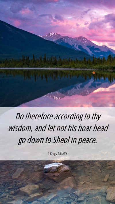 Picture 06 - 1 Kings 2:6 ASV Mobile Phone Wallpaper - Do therefore according to thy wisdom, and let not - Mobile Bible Verse Wallpaper