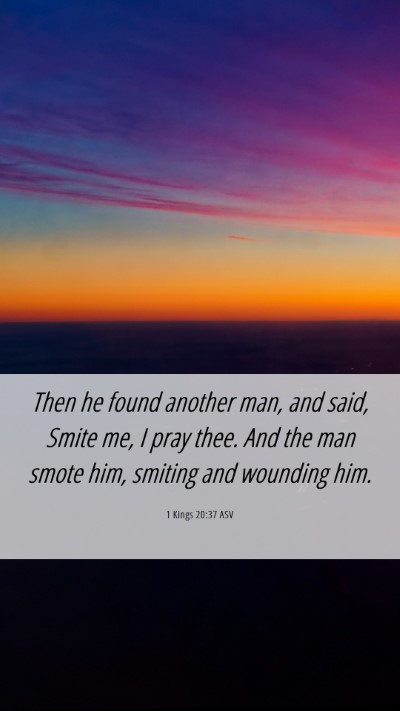 Picture 06 - 1 Kings 20:37 ASV Mobile Phone Wallpaper - Then he found another man, and said, Smite me, I - Mobile Bible Verse Wallpaper