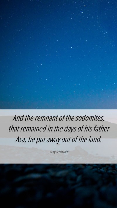 Picture 06 - 1 Kings 22:46 ASV Mobile Phone Wallpaper - And the remnant of the sodomites, that remained - Mobile Bible Verse Wallpaper
