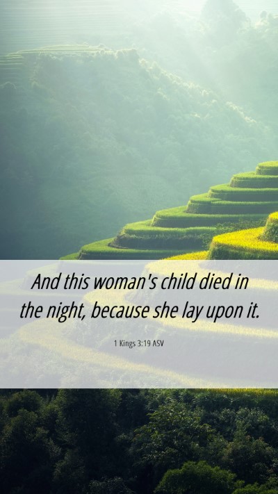 Picture 06 - 1 Kings 3:19 ASV Mobile Phone Wallpaper - And this woman's child died in the night, because - Mobile Bible Verse Wallpaper