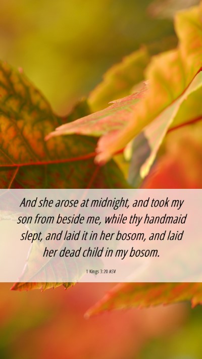Picture 06 - 1 Kings 3:20 ASV Mobile Phone Wallpaper - And she arose at midnight, and took my son from - Mobile Bible Verse Wallpaper