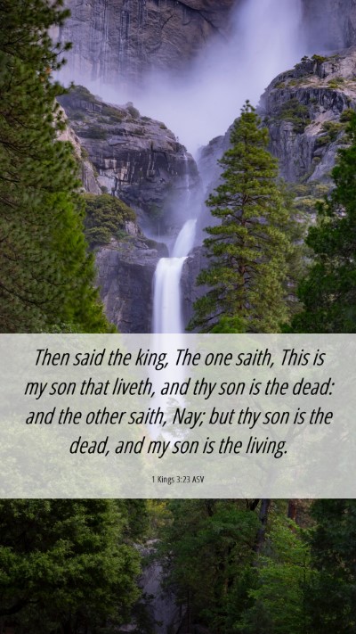 Picture 06 - 1 Kings 3:23 ASV Mobile Phone Wallpaper - Then said the king, The one saith, This is my son - Mobile Bible Verse Wallpaper