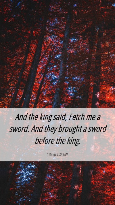Picture 06 - 1 Kings 3:24 ASV Mobile Phone Wallpaper - And the king said, Fetch me a sword. And they - Mobile Bible Verse Wallpaper