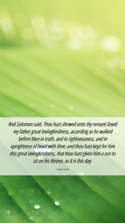 Picture 06 - 1 Kings 3:6 ASV Mobile Phone Wallpaper - And Solomon said, Thou hast showed unto thy - Mobile Bible Verse Wallpaper