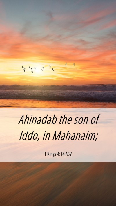 Picture 06 - 1 Kings 4:14 ASV Mobile Phone Wallpaper - Ahinadab the son of Iddo, in - Mobile Bible Verse Wallpaper