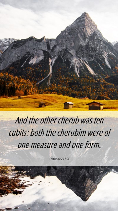 Picture 06 - 1 Kings 6:25 ASV Mobile Phone Wallpaper - And the other cherub was ten cubits: both the - Mobile Bible Verse Wallpaper