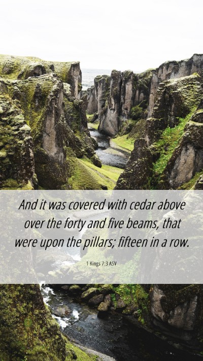 Picture 06 - 1 Kings 7:3 ASV Mobile Phone Wallpaper - And it was covered with cedar above over the - Mobile Bible Verse Wallpaper