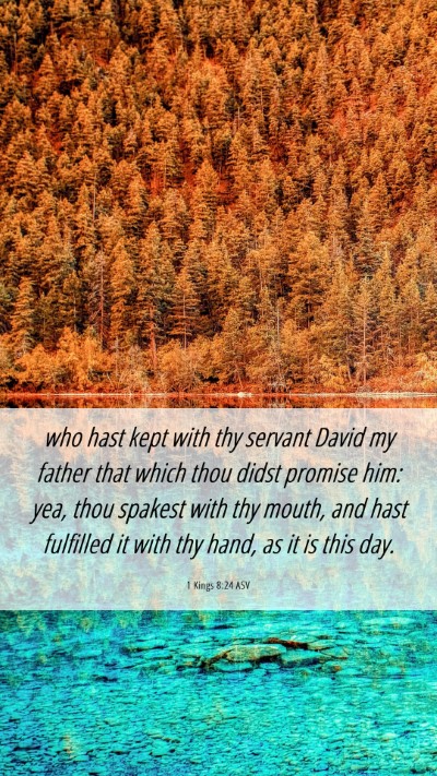 Picture 06 - 1 Kings 8:24 ASV Mobile Phone Wallpaper - who hast kept with thy servant David my father - Mobile Bible Verse Wallpaper