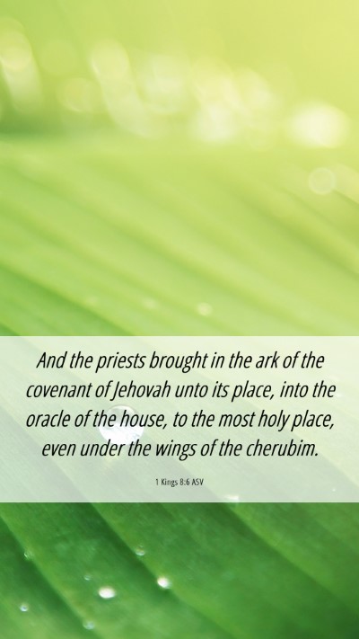 Picture 06 - 1 Kings 8:6 ASV Mobile Phone Wallpaper - And the priests brought in the ark of the - Mobile Bible Verse Wallpaper