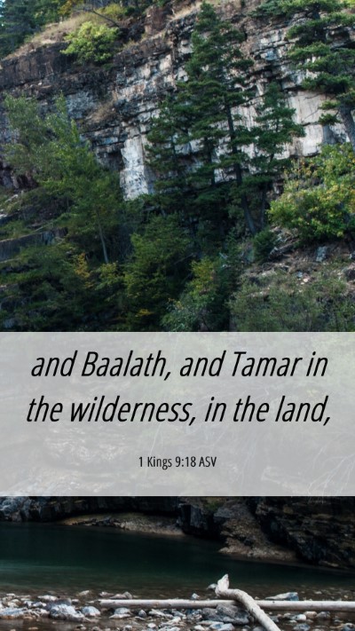 Picture 06 - 1 Kings 9:18 ASV Mobile Phone Wallpaper - and Baalath, and Tamar in the wilderness, in the - Mobile Bible Verse Wallpaper