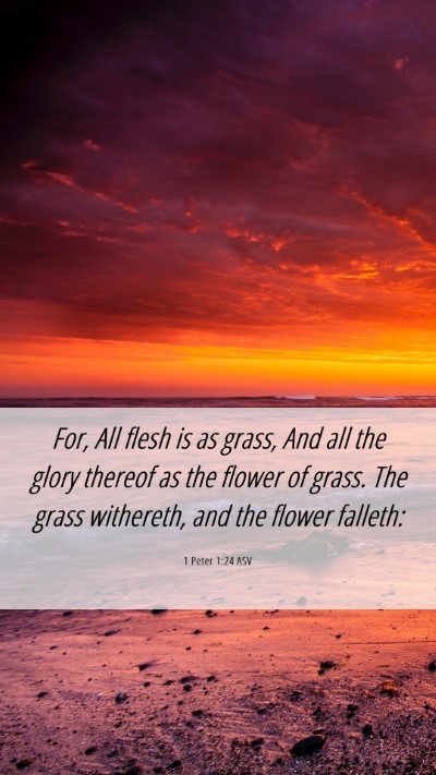 Picture 06 - 1 Peter 1:24 ASV Mobile Phone Wallpaper - For, All flesh is as grass, And all the glory - Mobile Bible Verse Wallpaper
