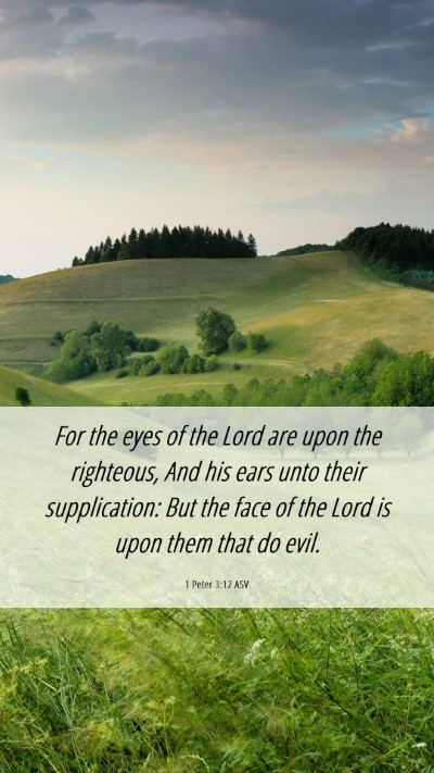 Picture 06 - 1 Peter 3:12 ASV Mobile Phone Wallpaper - For the eyes of the Lord are upon the righteous, - Mobile Bible Verse Wallpaper