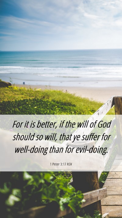 Picture 06 - 1 Peter 3:17 ASV Mobile Phone Wallpaper - For it is better, if the will of God should so - Mobile Bible Verse Wallpaper