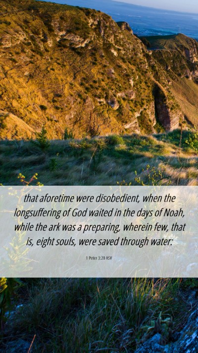 Picture 06 - 1 Peter 3:20 ASV Mobile Phone Wallpaper - that aforetime were disobedient, when the - Mobile Bible Verse Wallpaper