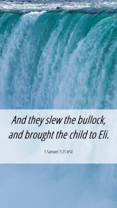 Picture 06 - 1 Samuel 1:25 ASV Mobile Phone Wallpaper - And they slew the bullock, and brought the child - Mobile Bible Verse Wallpaper