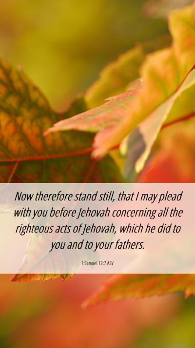 Picture 06 - 1 Samuel 12:7 ASV Mobile Phone Wallpaper - Now therefore stand still, that I may plead with - Mobile Bible Verse Wallpaper