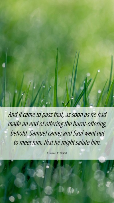 Picture 06 - 1 Samuel 13:10 ASV Mobile Phone Wallpaper - And it came to pass that, as soon as he had made - Mobile Bible Verse Wallpaper