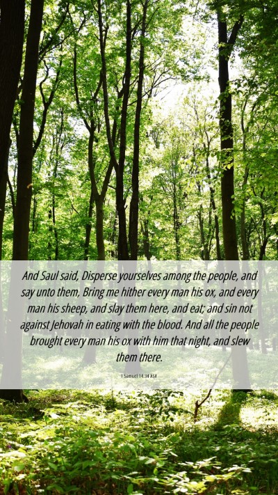 Picture 06 - 1 Samuel 14:34 ASV Mobile Phone Wallpaper - And Saul said, Disperse yourselves among the - Mobile Bible Verse Wallpaper