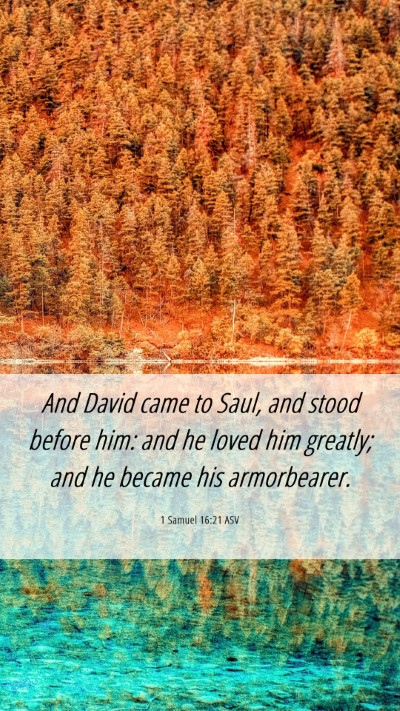 Picture 06 - 1 Samuel 16:21 ASV Mobile Phone Wallpaper - And David came to Saul, and stood before him: and - Mobile Bible Verse Wallpaper