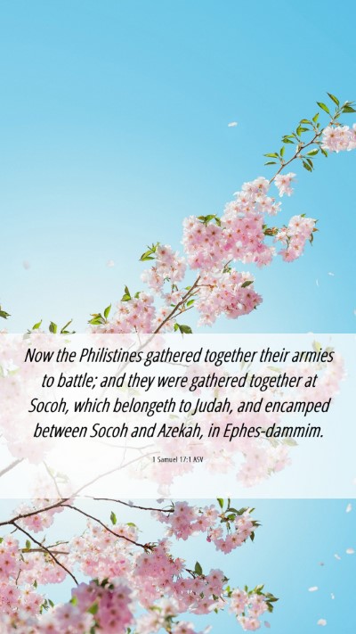 Picture 06 - 1 Samuel 17:1 ASV Mobile Phone Wallpaper - Now the Philistines gathered together their - Mobile Bible Verse Wallpaper