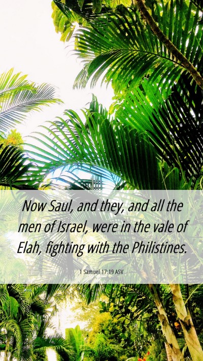 Picture 06 - 1 Samuel 17:19 ASV Mobile Phone Wallpaper - Now Saul, and they, and all the men of Israel, - Mobile Bible Verse Wallpaper