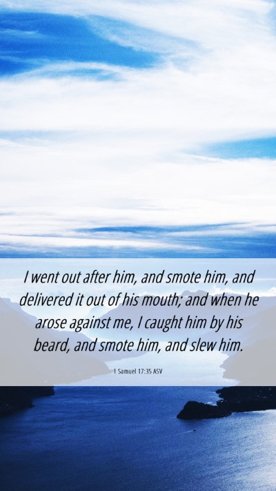 Picture 06 - 1 Samuel 17:35 ASV Mobile Phone Wallpaper - I went out after him, and smote him, and - Mobile Bible Verse Wallpaper