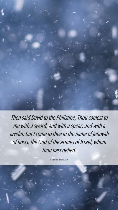 Picture 06 - 1 Samuel 17:45 ASV Mobile Phone Wallpaper - Then said David to the Philistine, Thou comest to - Mobile Bible Verse Wallpaper
