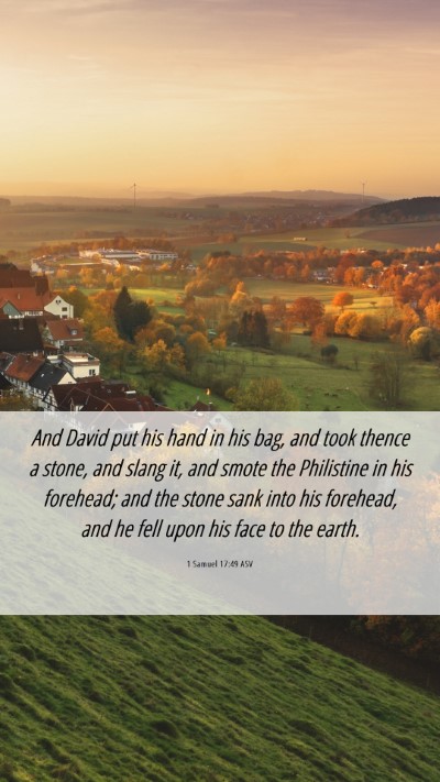 Picture 06 - 1 Samuel 17:49 ASV Mobile Phone Wallpaper - And David put his hand in his bag, and took - Mobile Bible Verse Wallpaper