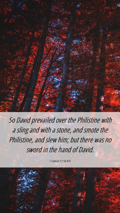 Picture 06 - 1 Samuel 17:50 ASV Mobile Phone Wallpaper - So David prevailed over the Philistine with a - Mobile Bible Verse Wallpaper