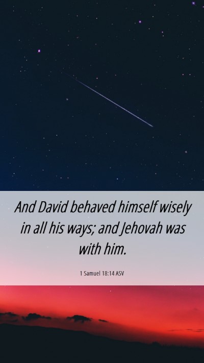 Picture 06 - 1 Samuel 18:14 ASV Mobile Phone Wallpaper - And David behaved himself wisely in all his ways; - Mobile Bible Verse Wallpaper