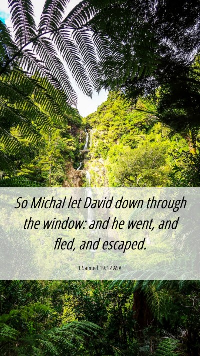Picture 06 - 1 Samuel 19:12 ASV Mobile Phone Wallpaper - So Michal let David down through the window: and - Mobile Bible Verse Wallpaper