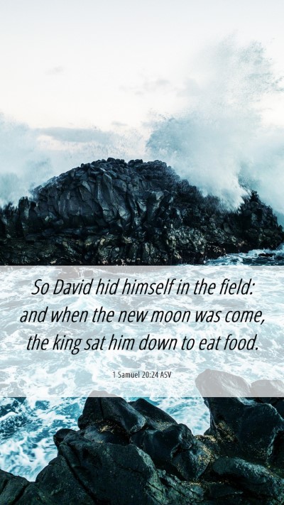 Picture 06 - 1 Samuel 20:24 ASV Mobile Phone Wallpaper - So David hid himself in the field: and when the - Mobile Bible Verse Wallpaper
