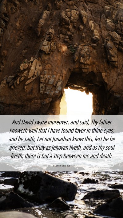 Picture 06 - 1 Samuel 20:3 ASV Mobile Phone Wallpaper - And David sware moreover, and said, Thy father - Mobile Bible Verse Wallpaper