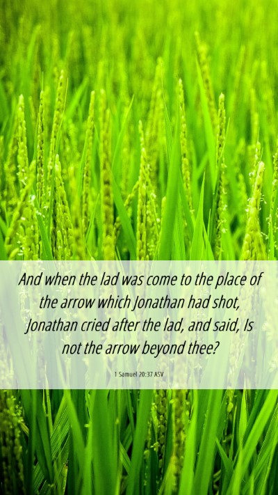 Picture 06 - 1 Samuel 20:37 ASV Mobile Phone Wallpaper - And when the lad was come to the place of the - Mobile Bible Verse Wallpaper