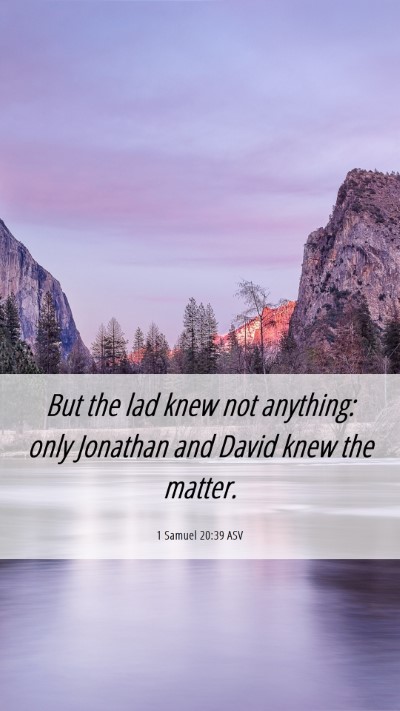 Picture 06 - 1 Samuel 20:39 ASV Mobile Phone Wallpaper - But the lad knew not anything: only Jonathan and - Mobile Bible Verse Wallpaper