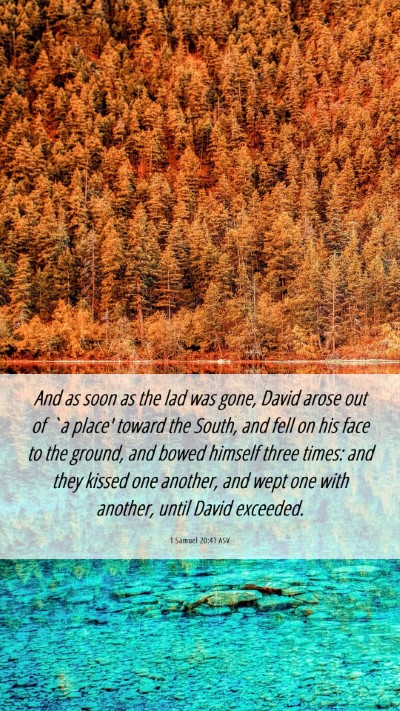 Picture 06 - 1 Samuel 20:41 ASV Mobile Phone Wallpaper - And as soon as the lad was gone, David arose out - Mobile Bible Verse Wallpaper