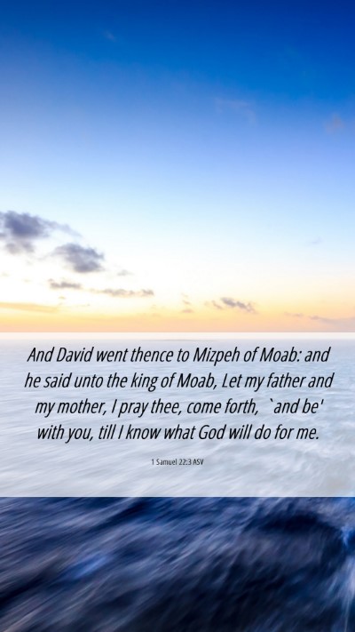 Picture 06 - 1 Samuel 22:3 ASV Mobile Phone Wallpaper - And David went thence to Mizpeh of Moab: and he - Mobile Bible Verse Wallpaper
