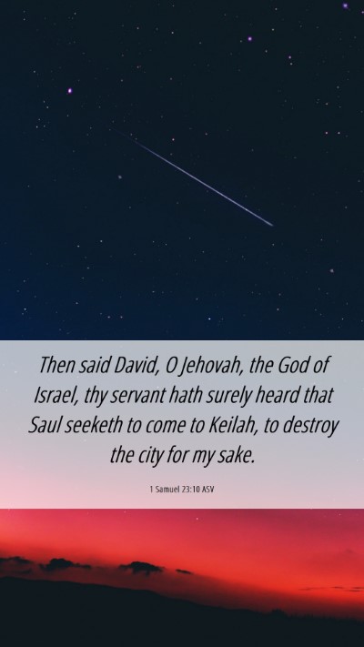 Picture 06 - 1 Samuel 23:10 ASV Mobile Phone Wallpaper - Then said David, O Jehovah, the God of Israel, - Mobile Bible Verse Wallpaper