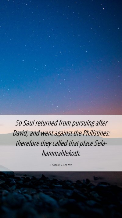 Picture 06 - 1 Samuel 23:28 ASV Mobile Phone Wallpaper - So Saul returned from pursuing after David, and - Mobile Bible Verse Wallpaper